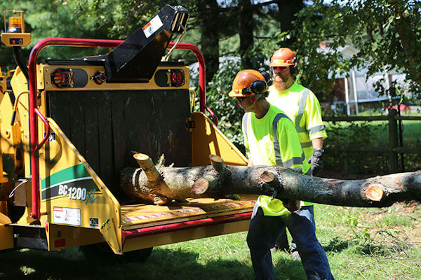 Vermeer | Brush Chippers | Model BC1200XL Gas for sale at Assmans Implement, Inc., Mission, South Dakota