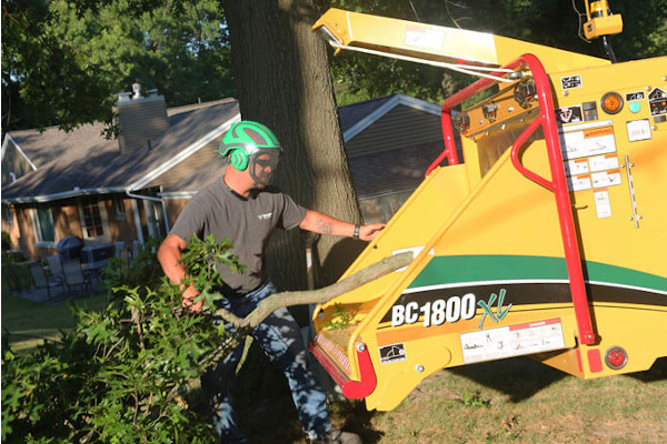 Vermeer | Brush Chippers | Model BC1800XL Gas for sale at Assmans Implement, Inc., Mission, South Dakota