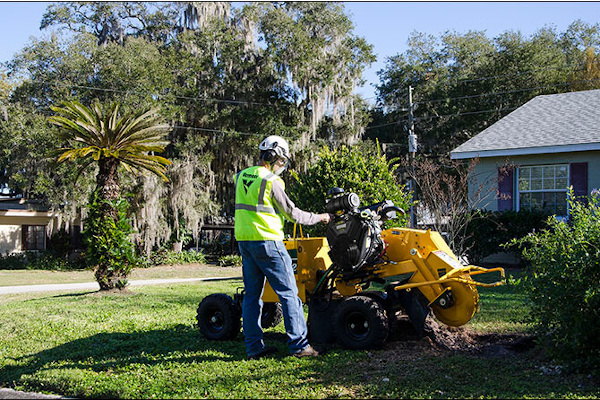Vermeer | Stump Cutters | Model SC362 for sale at Assmans Implement, Inc., Mission, South Dakota
